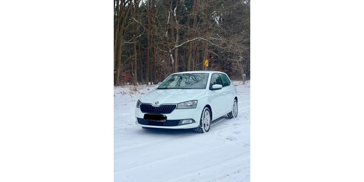 Skoda Fabia 161.000 km 6.850 &euro; Bad Muskau 02953