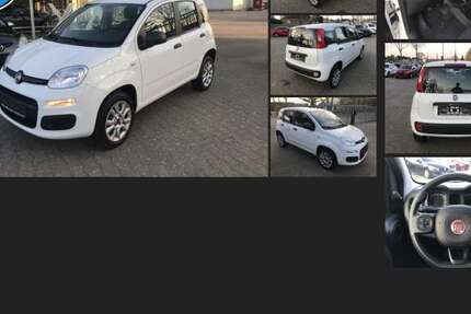 Fiat Panda 73.289 km 9.191 &euro; Dörpen 26892