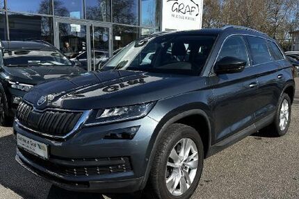 Skoda Kodiaq 169.900 km 19.290 &euro; Bruchsal 76646