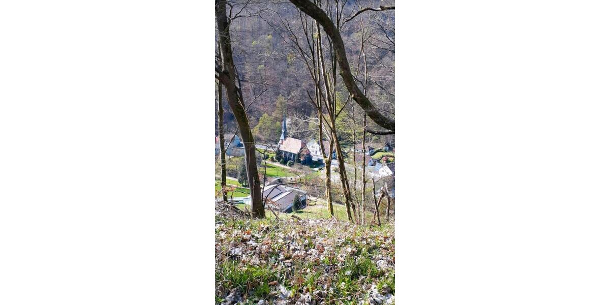 Etagenwohnung Herzberg am Harz - 1 Zimmer, 27 m&sup2;, 400&euro; | Angebot:25479601