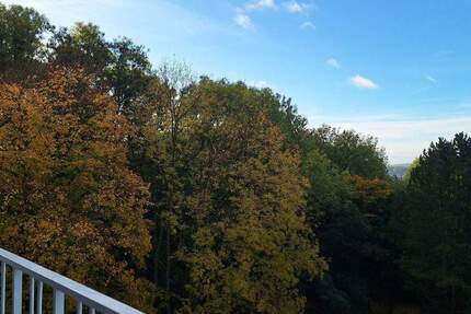 Modernisierte Wohnung in zentraler Lage von SB-Eschberg! 3 zimmer