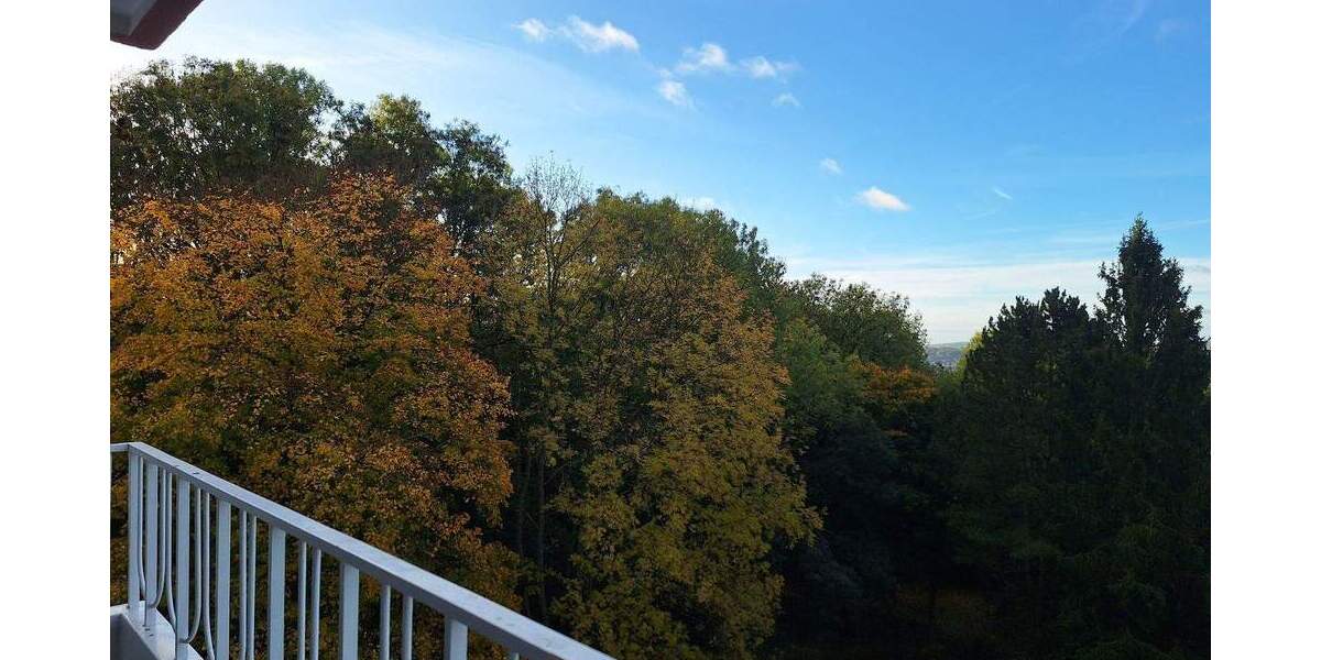 Modernisierte Wohnung in zentraler Lage von SB-Eschberg! 3 zimmer