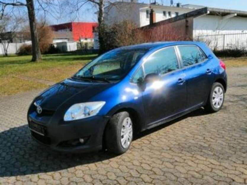 Auris