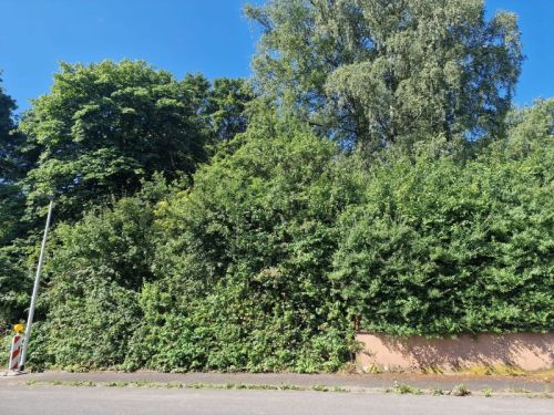 Bauplatz mit herrlichem Ausblick in 97711 Maßbach, Leonhard-Schwarz-Strasse 17 (ID 10674) - Grundstück Maßbach Maßbach | Angebot:26656094