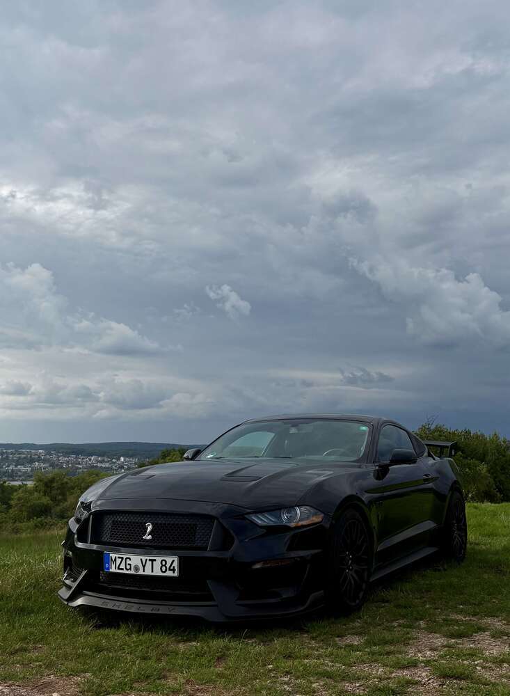 Mustang