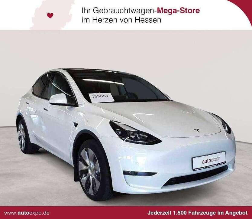 Model Y