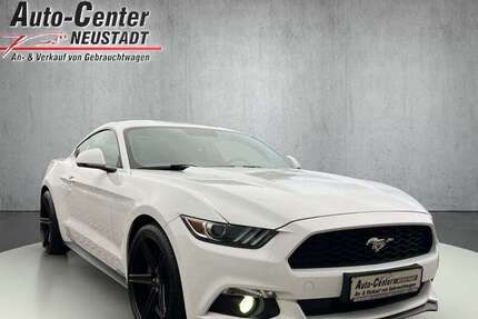 Ford Mustang 100.000 km 22.950 &euro; Neustadt / Hessen 35279