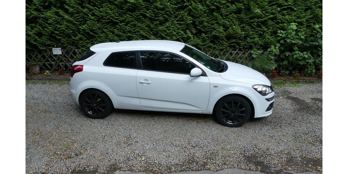 Kia pro ceed / ProCeed 172.330 km 3.950 &euro; Gummersbach 51647