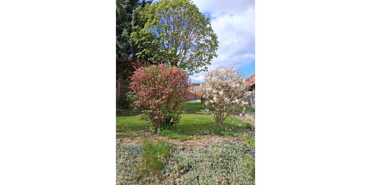 Einfamilienhaus Einbeck - 9 Zimmer, 180 m&sup2;, 93.000&euro; | Angebot:26398133