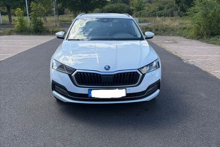 Skoda Octavia 113.000 km 18.390 &euro; Walschleben 99189