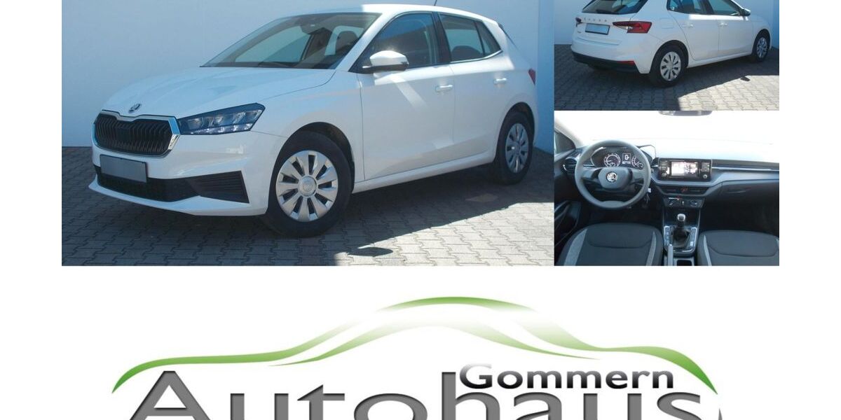 Skoda Fabia 28.355 km 13.450 &euro; Gommern 39245