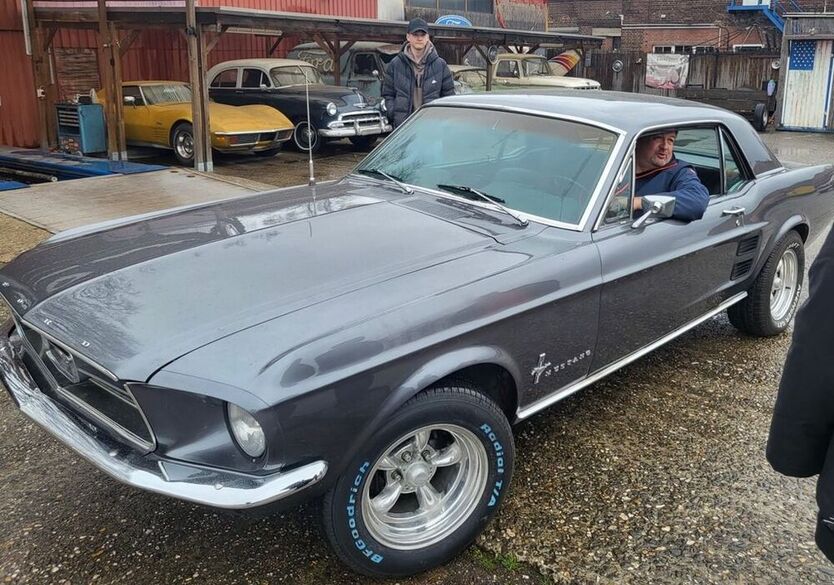 Mustang