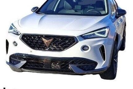 Cupra Formentor 33.109 km 22.430 &euro; Kehl 77694