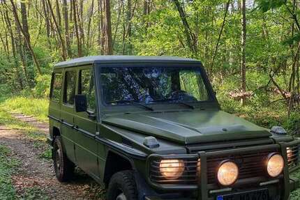 Mercedes-Benz G 290 320.000 km 35.000 &euro; Dogern 79804