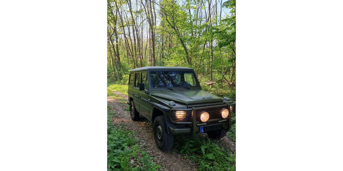 Mercedes-Benz G 290 320.000 km 35.000 &euro; Dogern 79804