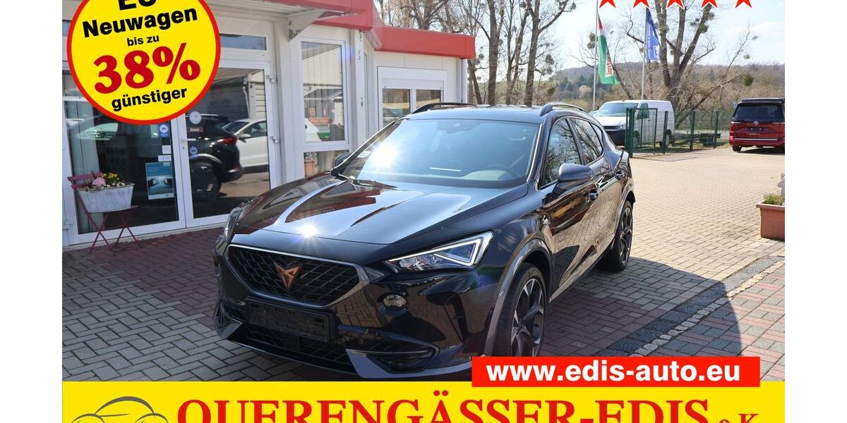 Cupra Formentor 44.700 km 27.990 &euro; Berga-Wünschendorf 07980