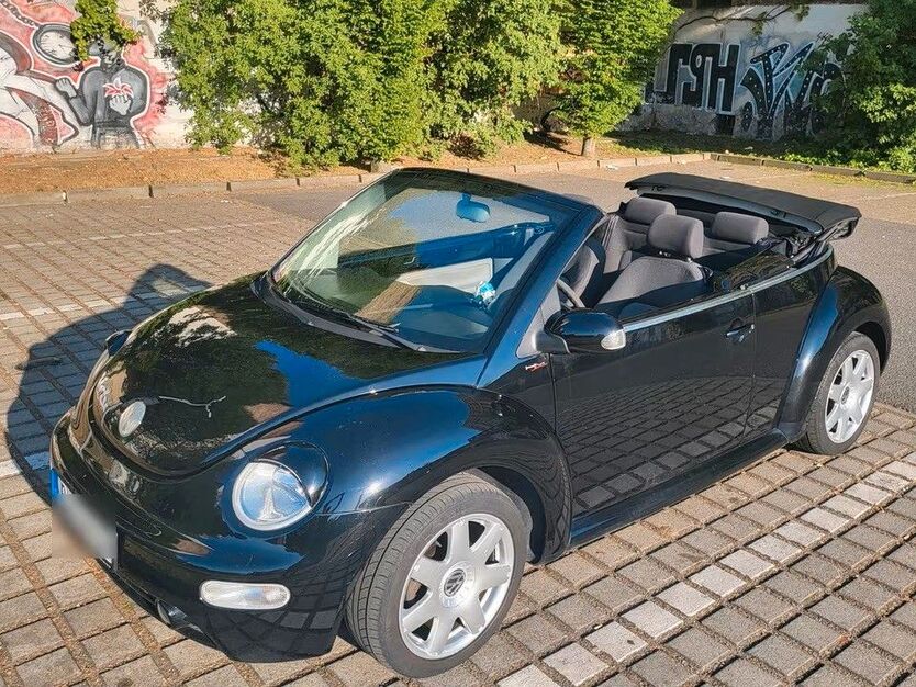 Beetle