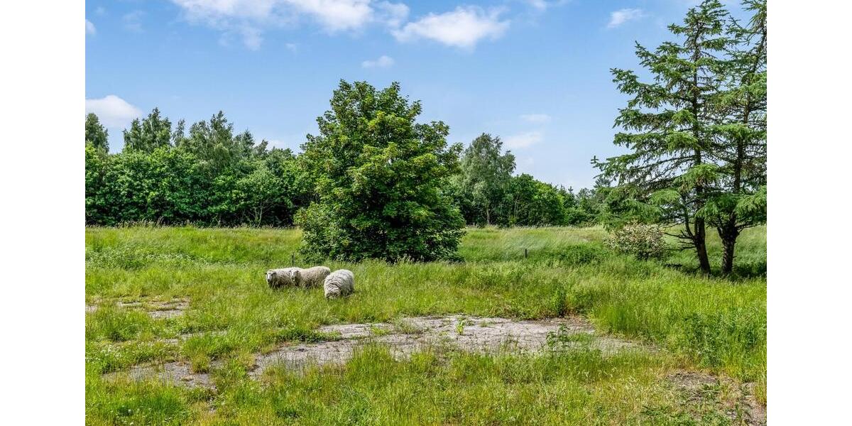 Bauernhaus, Landhaus Süderlügum - 5 Zimmer, 122 m&sup2;, 89.216&euro; | Angebot:26986519