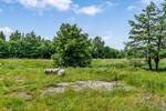 Bauernhaus, Landhaus Süderlügum - 5 Zimmer, 122 m&sup2;, 89.216&euro; | Angebot:26986519