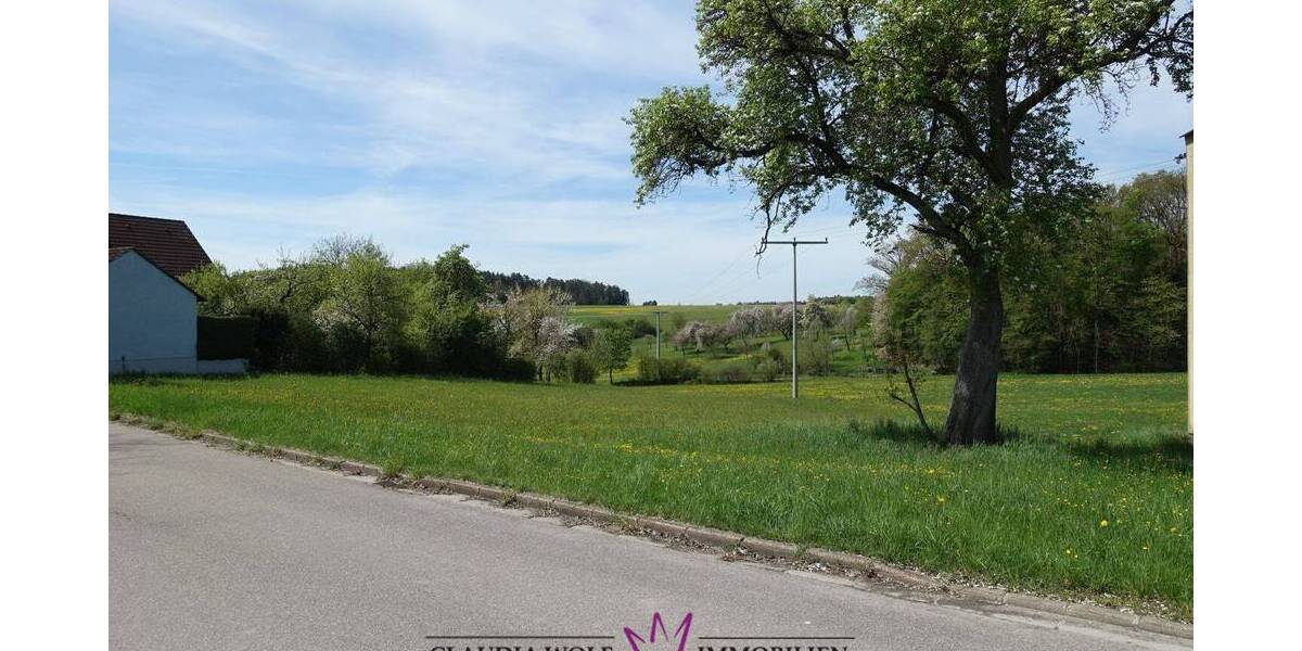 Grundstück Feuchtwangen Steinbach - 80.000&euro; | Angebot:25682839