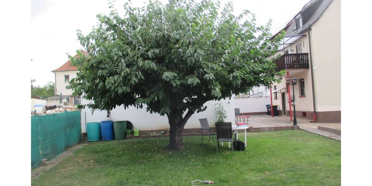 Grundstück Bergrheinfeld - 359.000&euro; | Angebot:25733213