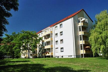 Wohnung Thale - 2.5 Zimmer, 61 m&sup2;, 425&euro; | Angebot:26480713