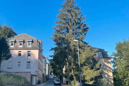 Sehr Schöne 2 Zi Wohnung 50 m² Hochpaterre in Zentrumsnähe 2 zimmer