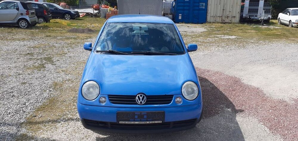Lupo