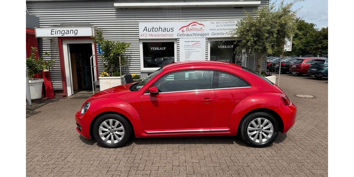 VW Beetle 68.000 km 9.950 &euro; Winsen (Luhe). 21423