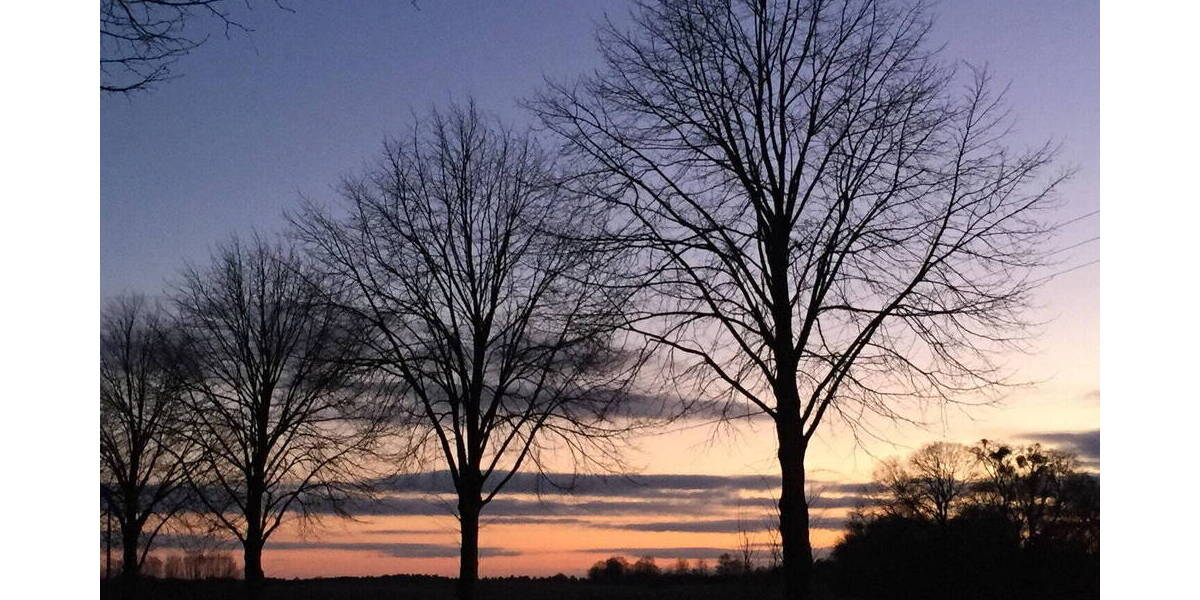 Einfamilienhaus Templin - 8 Zimmer, 275 m&sup2;, 345.000&euro; | Angebot:26038958