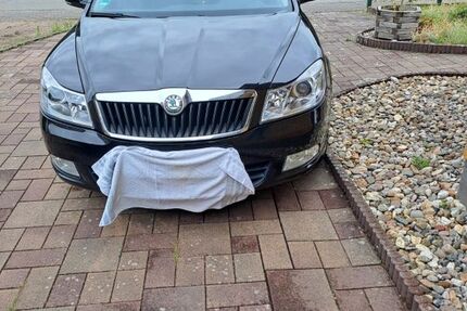 Skoda Octavia 173.000 km 3.550 &euro; Trappenkamp 24610