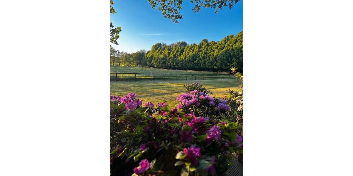 Einfamilienhaus Ritterhude - 3 Zimmer, 100 m&sup2;, 1.700&euro; | Angebot:24568470