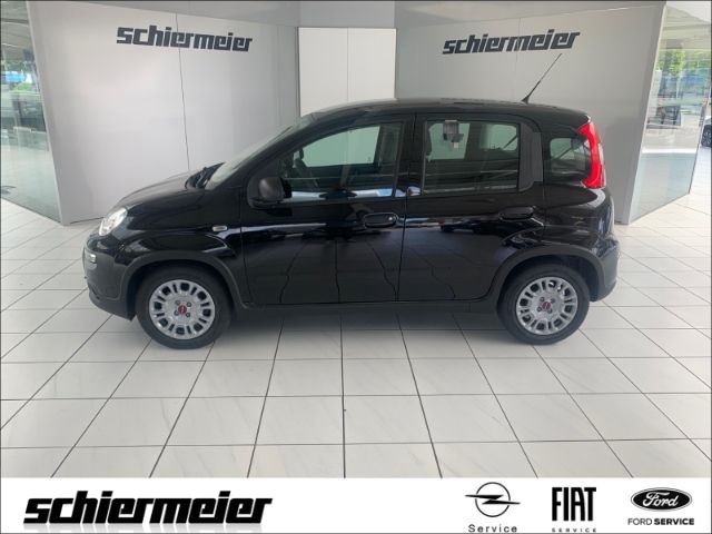 Fiat Panda 7.405 km 11.950 &euro; Rheine 48432