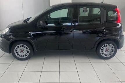 Fiat Panda 9.567 km 11.950 &euro; Rheine 48432