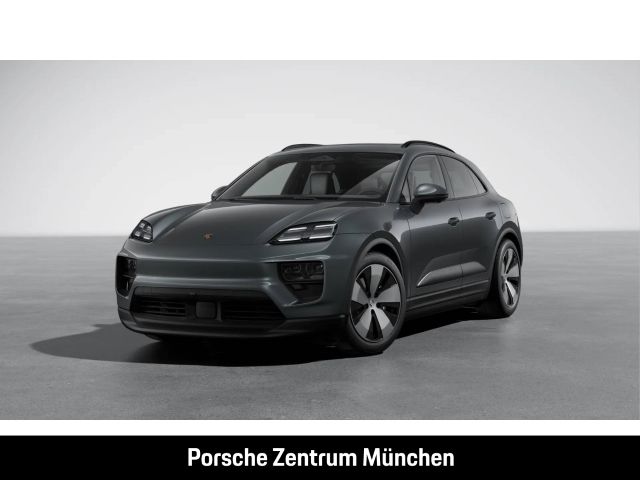 Macan