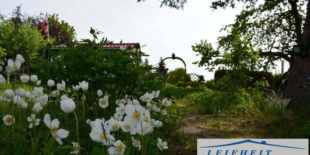 Grundstück Mühlhausen/Thüringen Mühlhausen - 8.000&euro; | Angebot:25707476