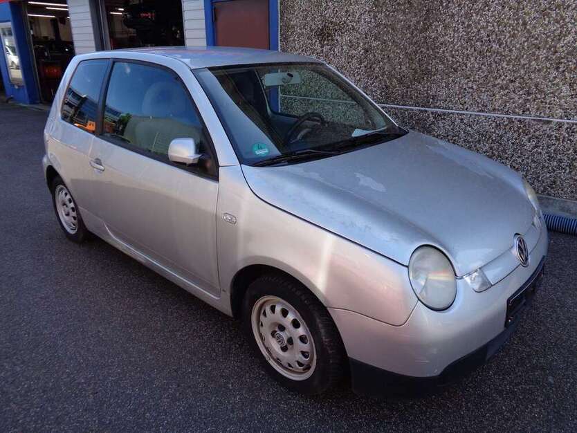 Lupo