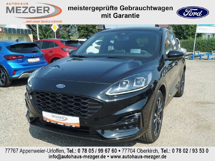 Kuga