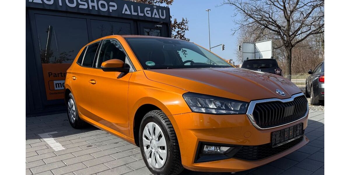 Skoda Fabia 94.800 km 12.490 &euro; Kempten 87435