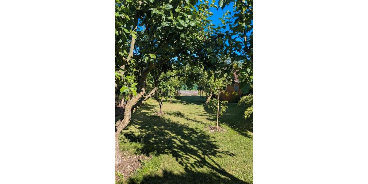 Einfamilienhaus Tessin - 5 Zimmer, 170 m&sup2;, 350.000&euro; | Angebot:26945275