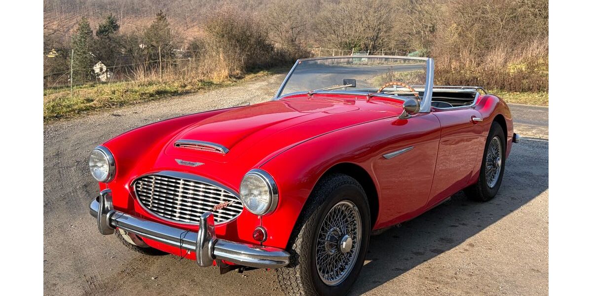 Austin Healey Andere 154.900 km 27.900 &euro; Aarbergen 65326