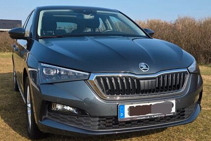 Skoda Scala 54.421 km 14.320 &euro; Sandesneben 23898