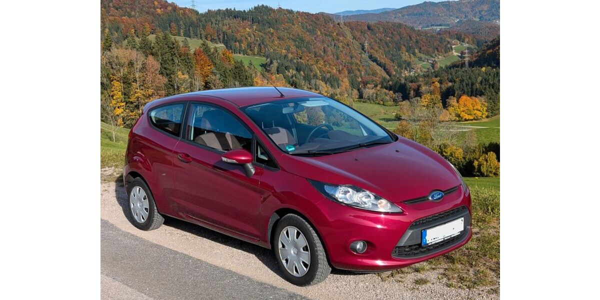 Ford Fiesta 141.500 km 4.000 &euro; Freilassing 83395