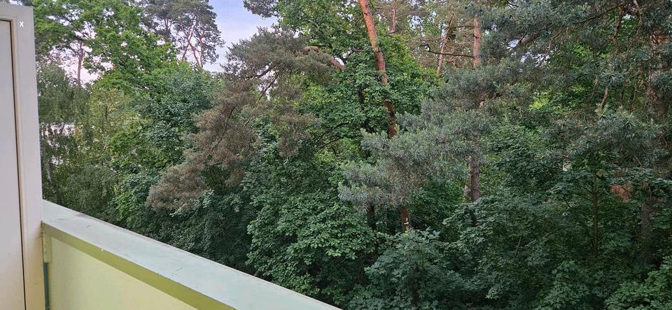 Etagenwohnung Dessau-Roßlau Brambach - 3 Zimmer, 59 m&sup2;, 50.000&euro; | Angebot:26824889