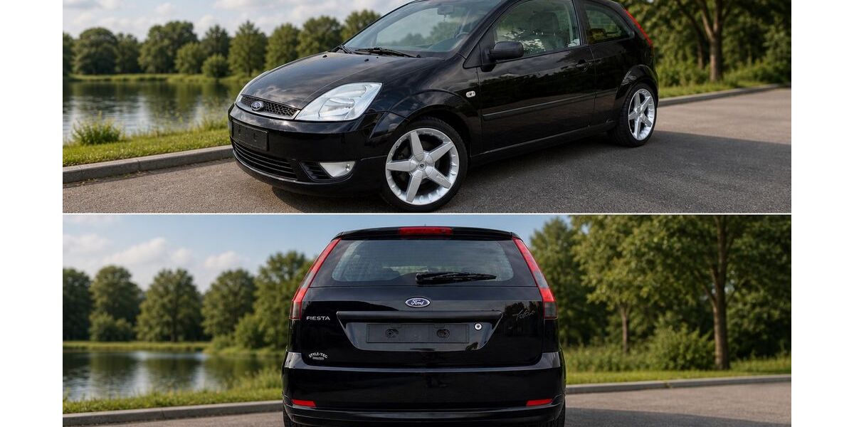 Ford Fiesta 125.283 km 2.800 &euro; Schöffengrund 35641
