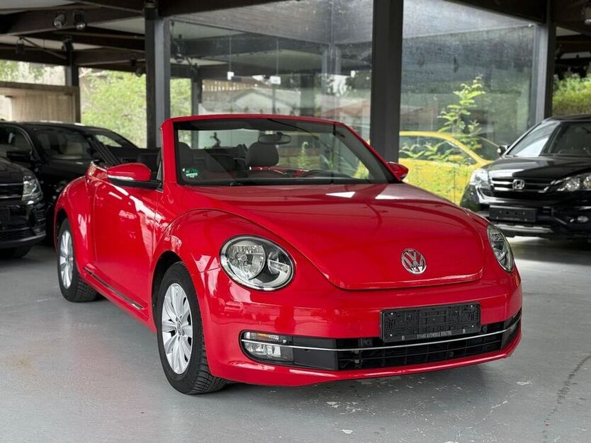 Beetle