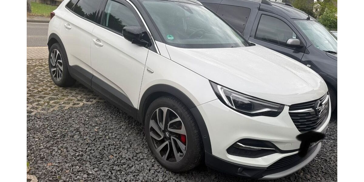 Opel Grandland (X) 143.200 km 13.900 &euro; Rheinbach 53359