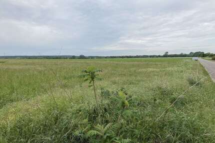 Grundstück zu verkaufen in Siestedt 150.000 € 10000 m²