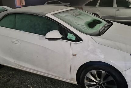 Opel Cascada 234.000 km 6.000 &euro; Eggolsheim 91330