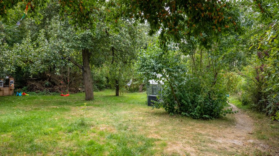 Provisionsfrei* Zwischen Blauberg und Garten - Einfamilienhaus Kreischa | Angebot:26116135